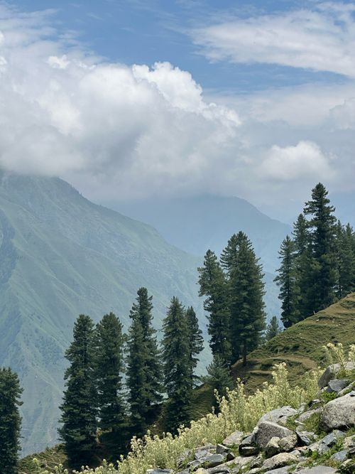 Free Breathtaking view of mountains, pine trees, and rolling clouds under a clear sky. Stock Photo