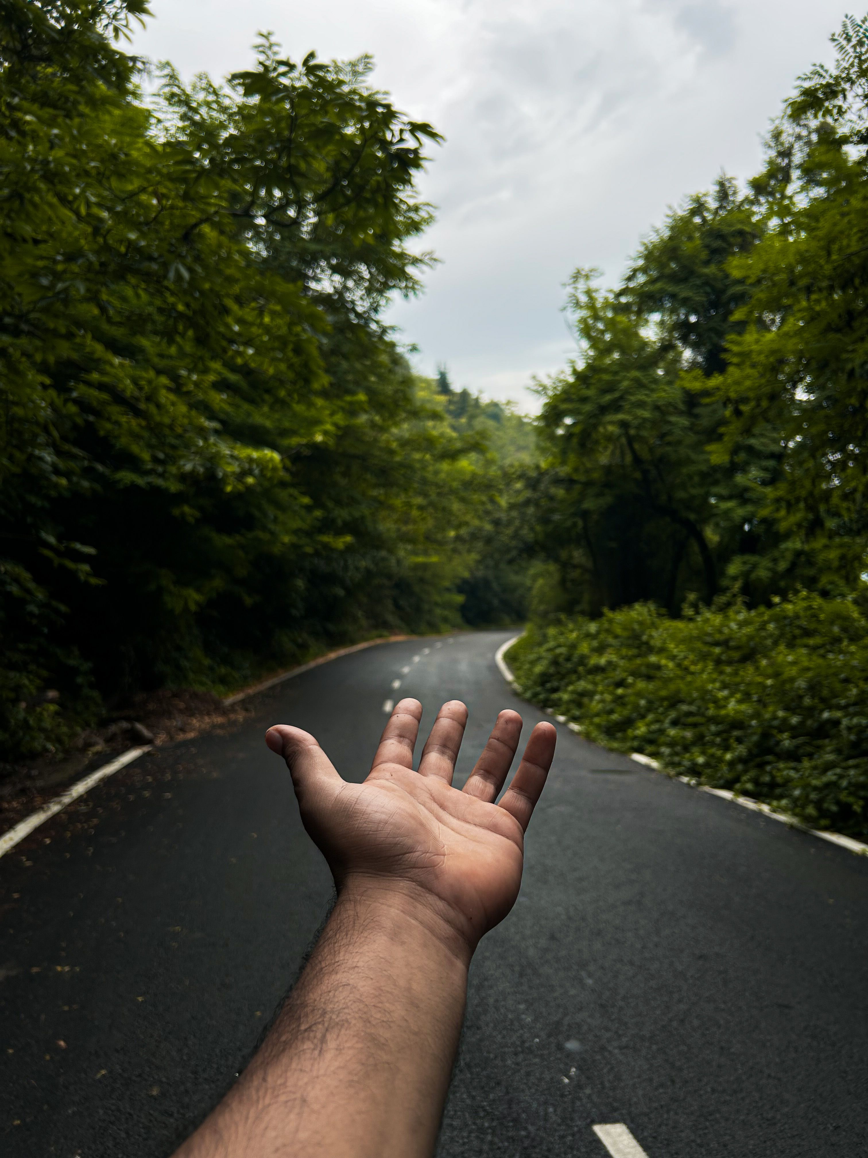 Hand Reaching Out on Serene Forest Road · Free Stock Photo