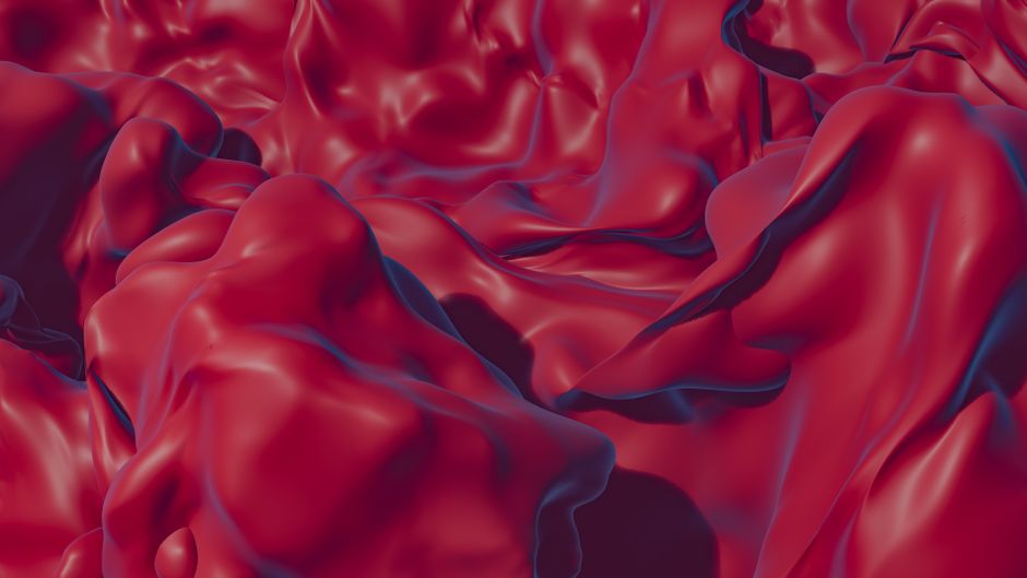 Vascularized 3D Bioprinted Kidneys