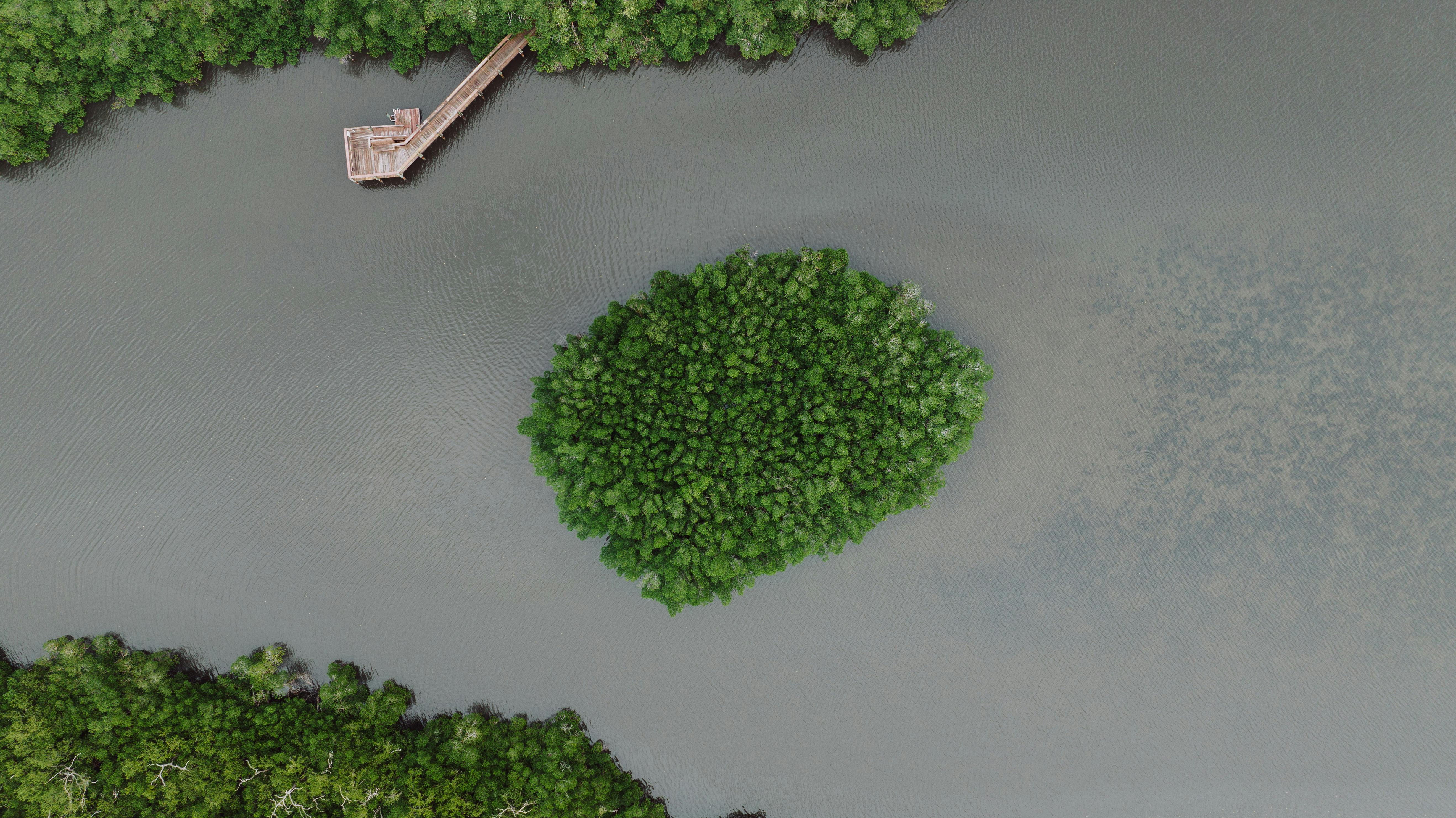 Aerial shot of a lush green mangrove island with a wooden pier in Fort Pierce, Florida.