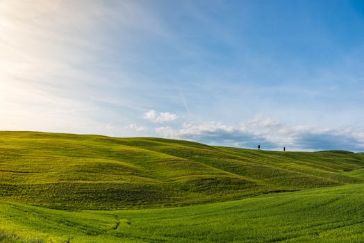 Expansive green rolling hills under a clear blue sky in Tuscany, Italy.