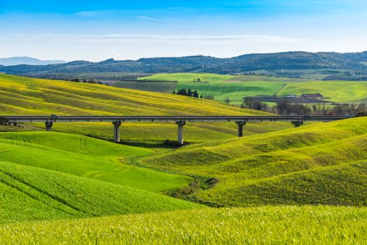 Your Essential Guide: International Driving Permit Italy Rental