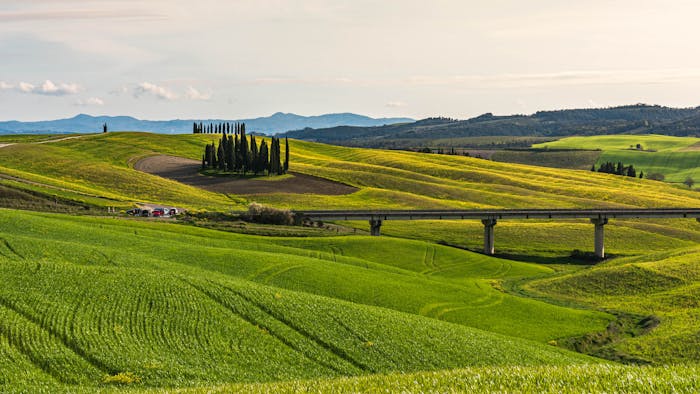 Managing rentals in Piemonte