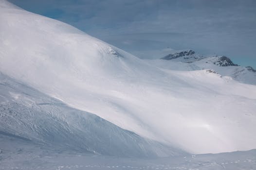 Serene snow-covered landscape in Sinaia, Romania, showcasing winter beauty.