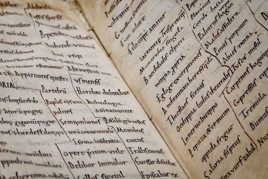 Detailed close-up of an ancient manuscript showcasing Latin text and calligraphy.