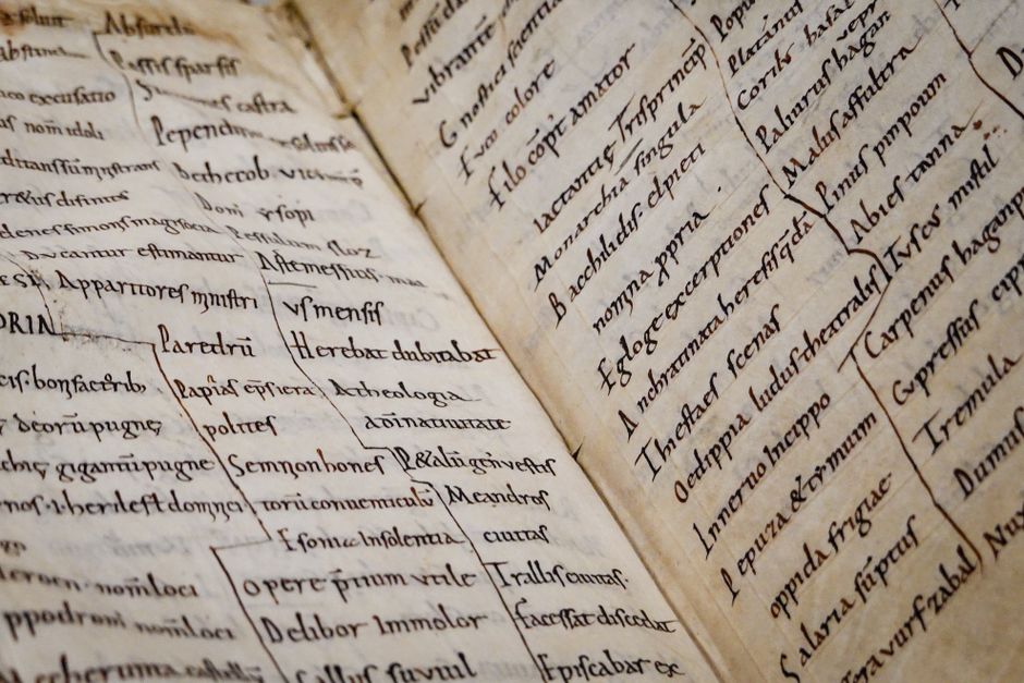 Histoire de la langue anglaise : des origines germaniques à la lingua franca mondiale