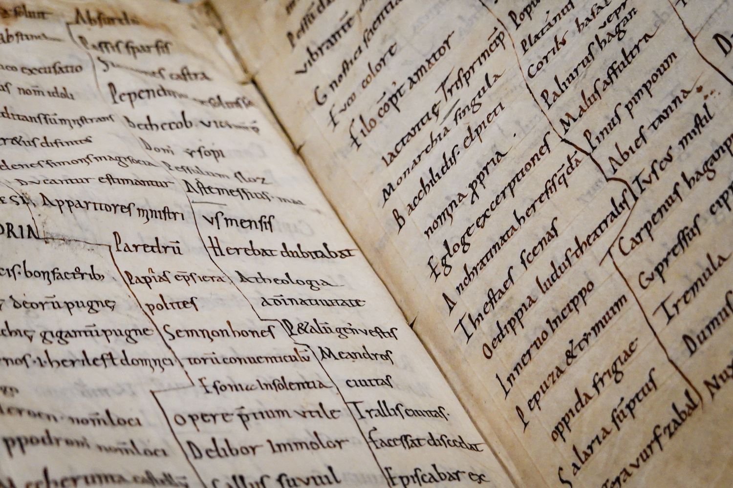 Latin manuscript text on aged parchment page