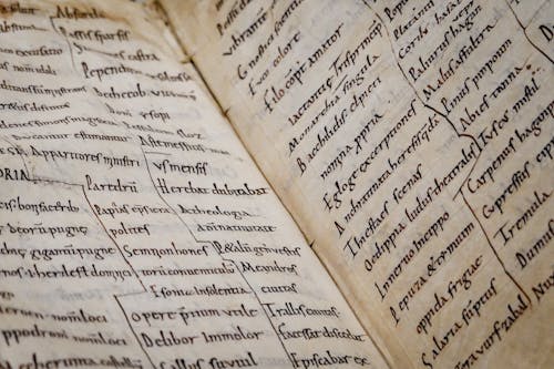 Early Ruled Paper White Ruled Paper · Free Stock Photo