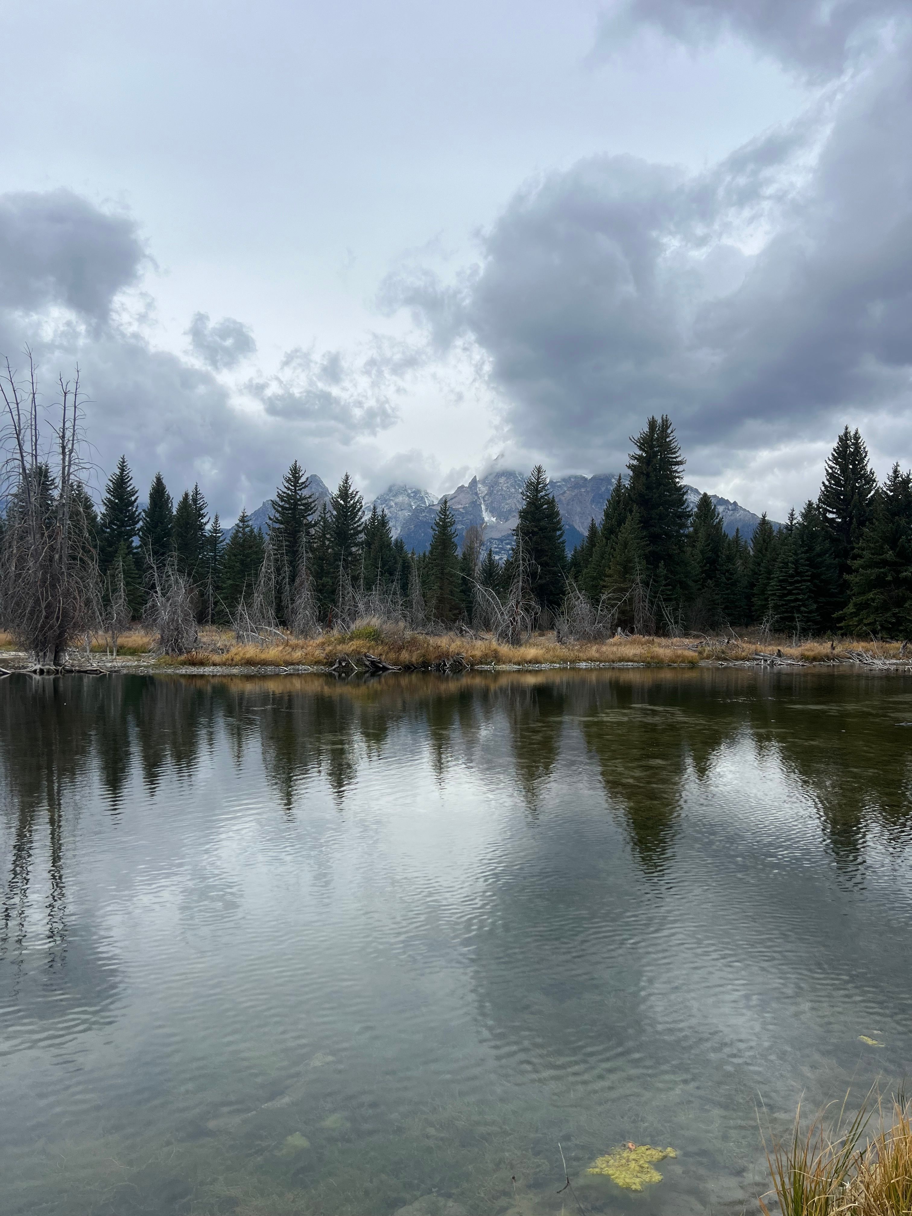 Schwabacher Landing
