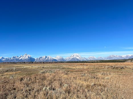 Breathtaking landscape of the Grand Tetons in Wyoming with clear blue skies and expansive fields.