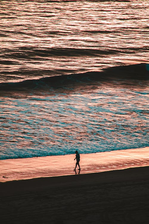 海岸を一人で歩いている人の写真