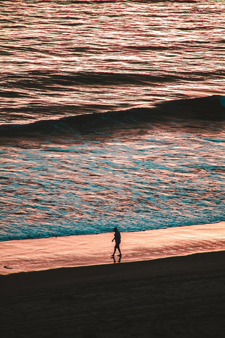 Photo Of Person Walking Alone On Seashore