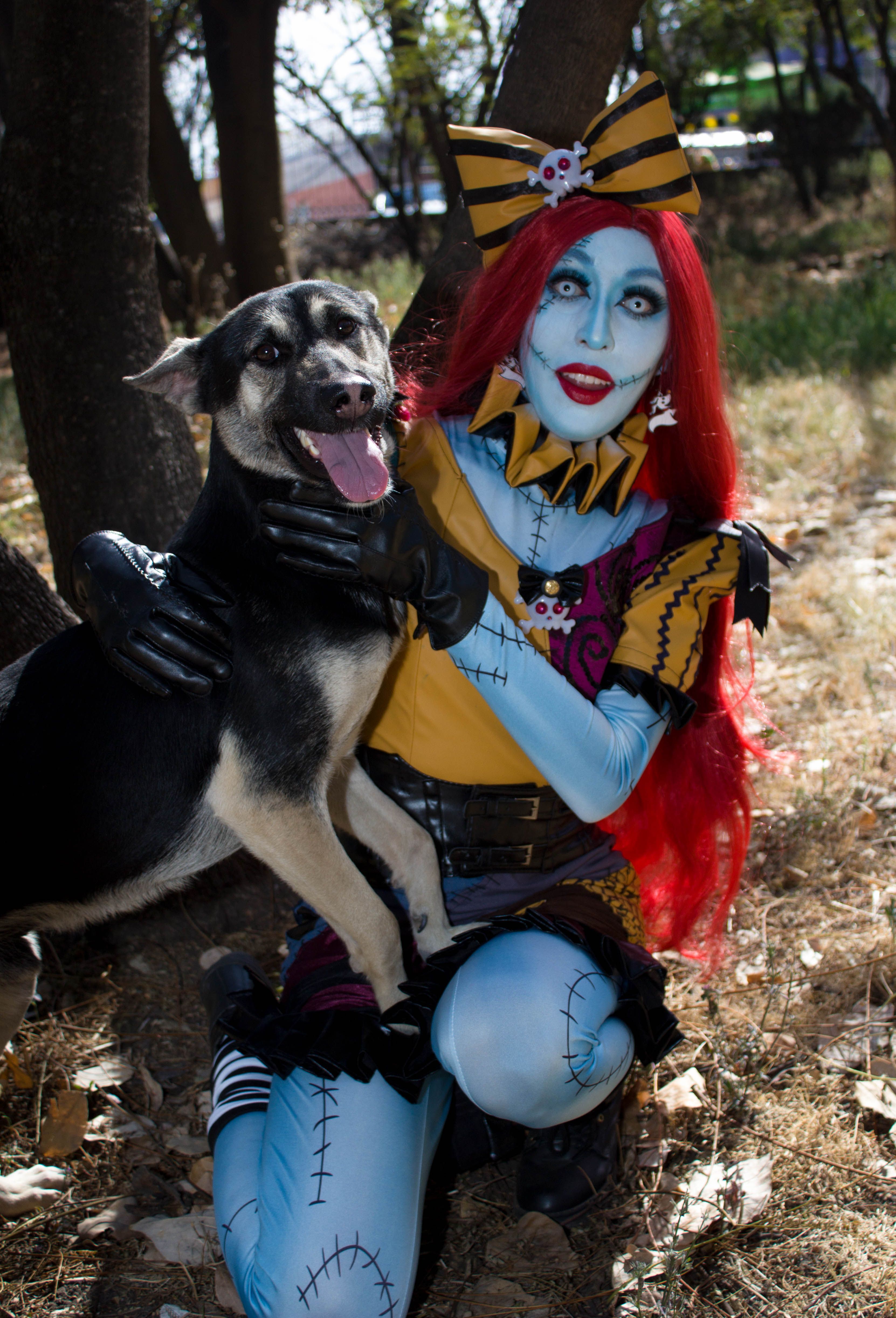 Dog Cosplay Photos, Download The BEST Free Dog Cosplay Stock Photos ...