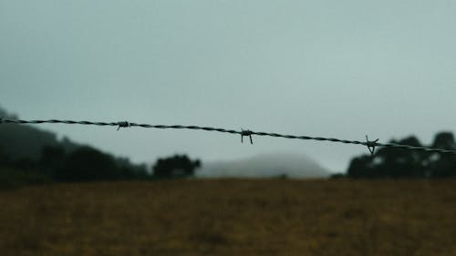 Focus Photo of Barbed Wire