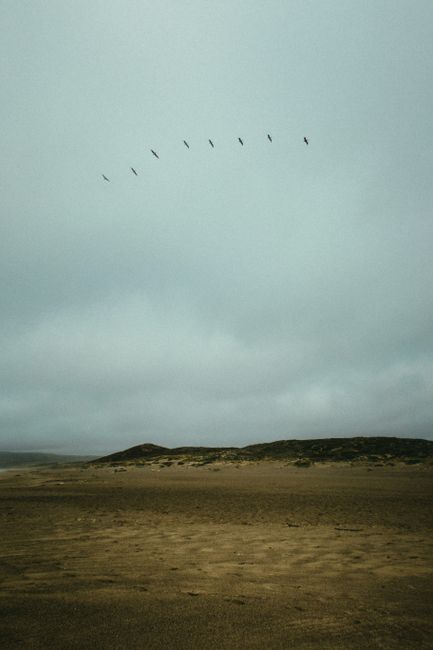 Photo by Athena Sandrini on pexels