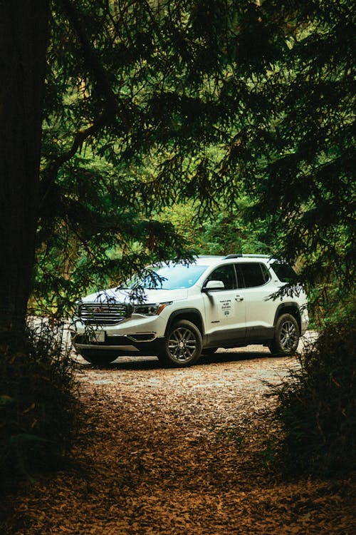 Free White Suv and Green Trees Stock Photo