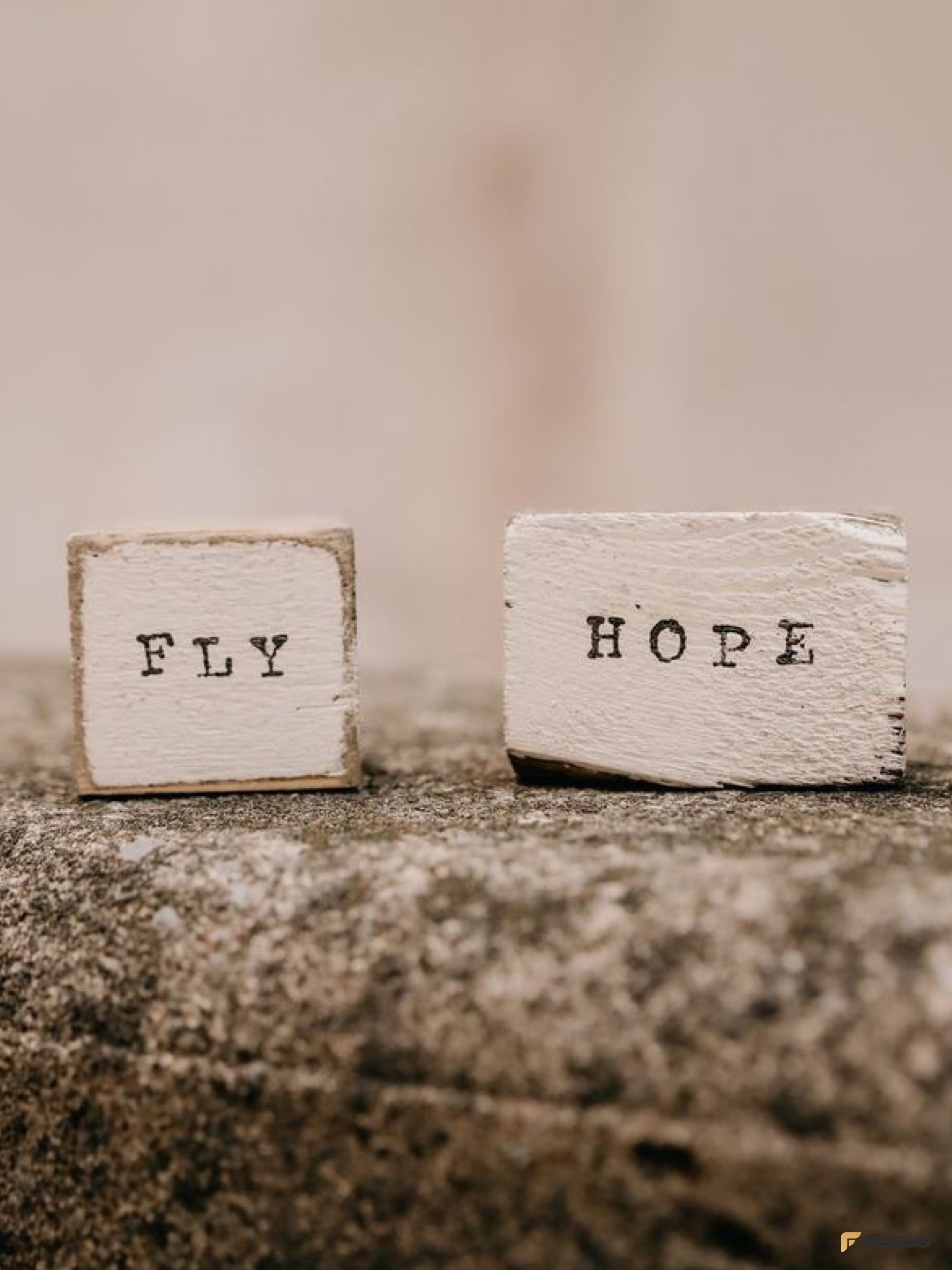 Inspiring Wood Blocks with Fly and Hope Text · Free Stock Photo