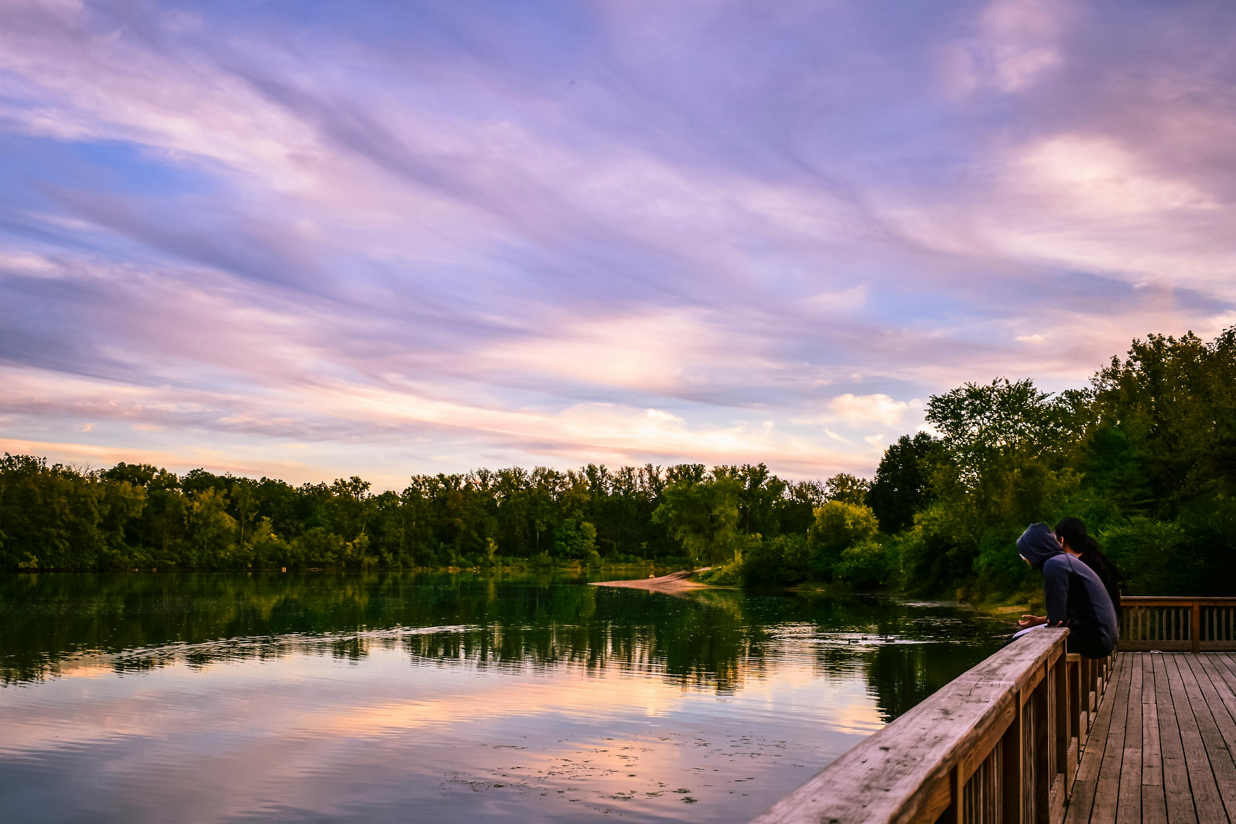 DuPage Forest Preserve executive director leaving for city manager job in Florida — Photo by Chris F on Pexels