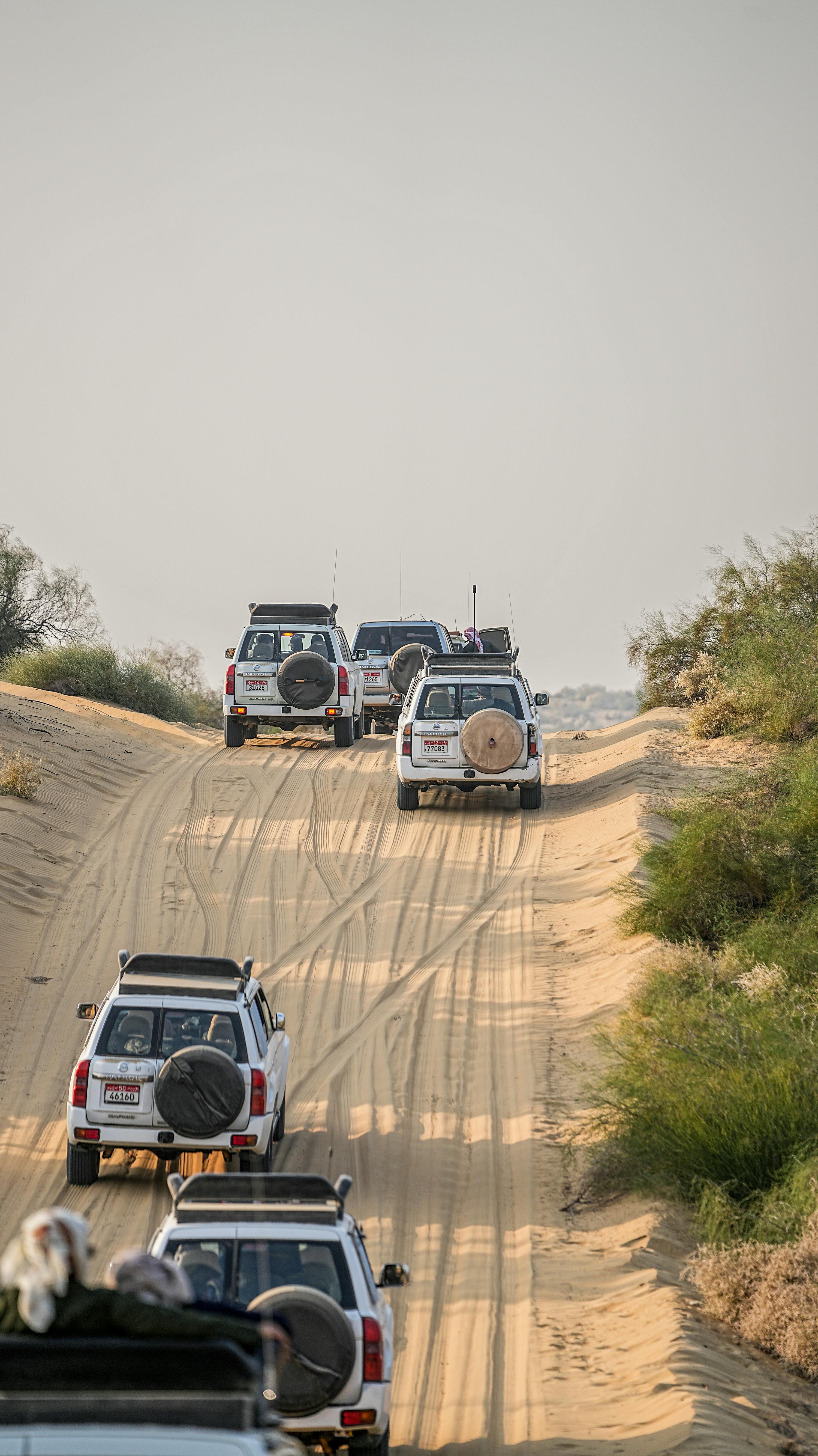 SUV 타이어 교체에 대한 정보