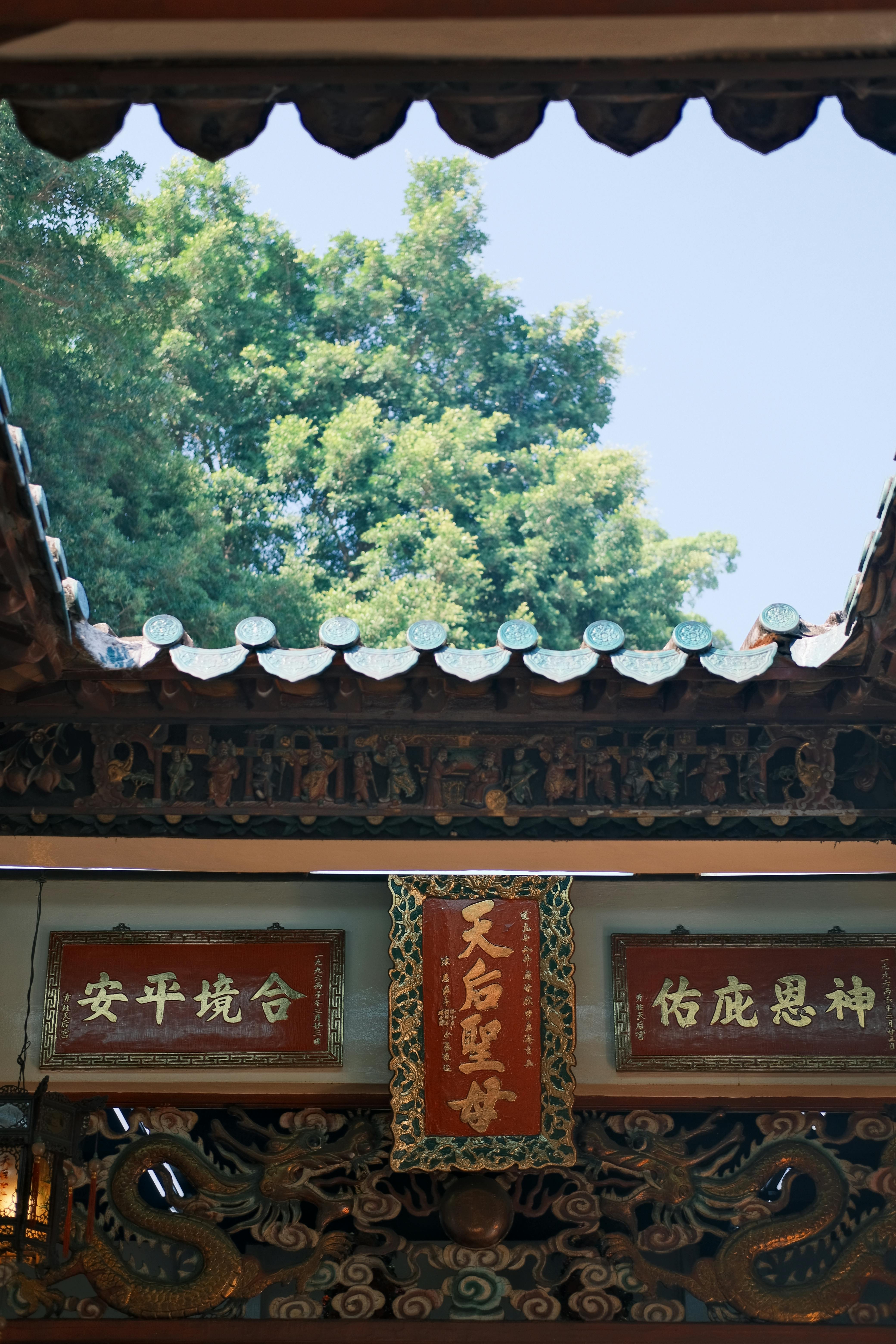 traditional chinese rooftop and tree view