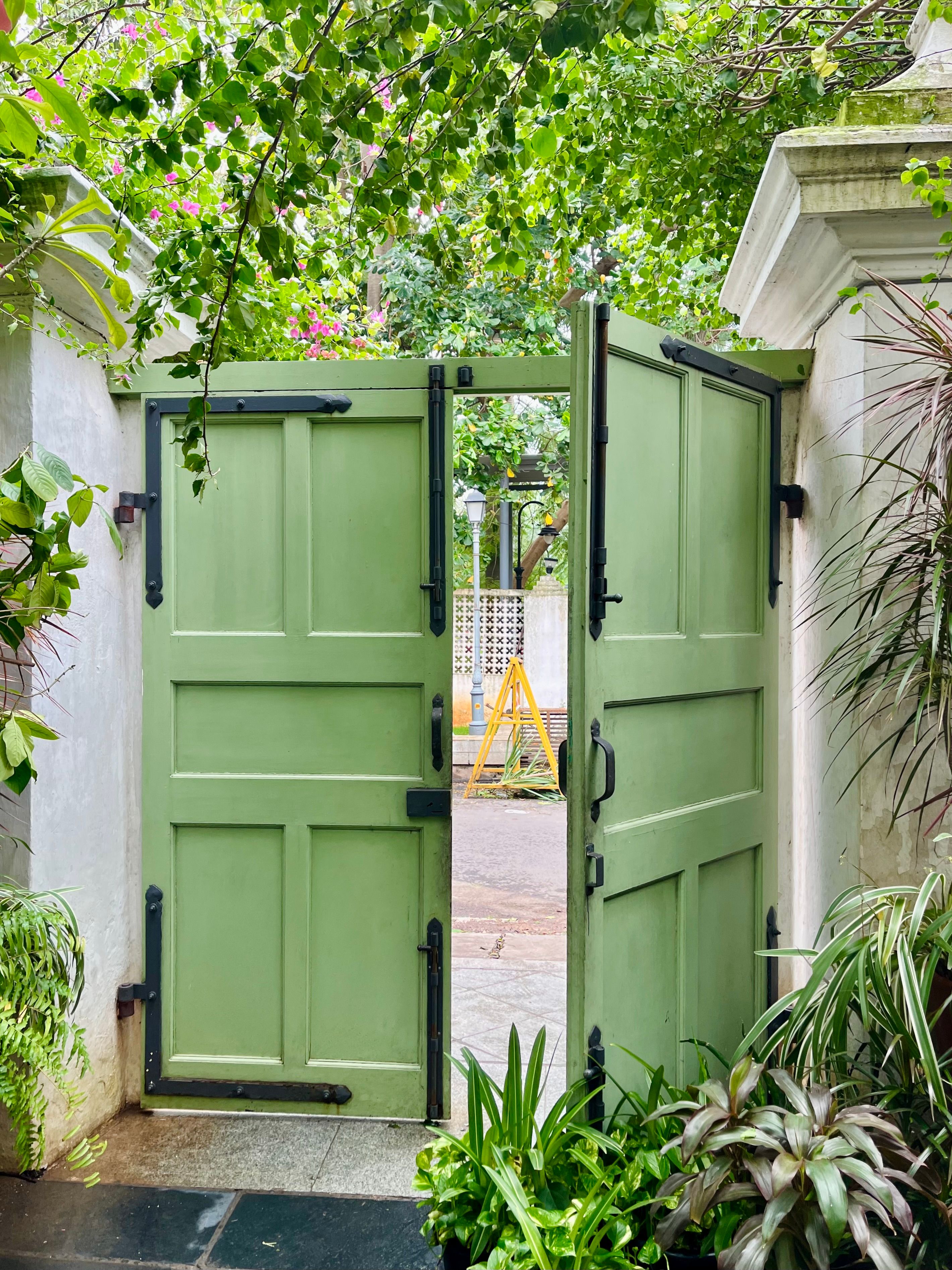 Charming Garden Gate Surrounded by Lush Greenery · Free Stock Photo