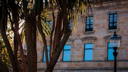 Free stock photo of arboretum, city ambiance, city trees Stock Photo