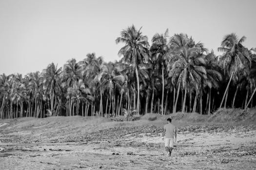Black and white photo of a person walking on Brazilian beach lined with palm trees.