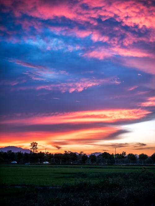 Free stock photo of cloud, lights, red