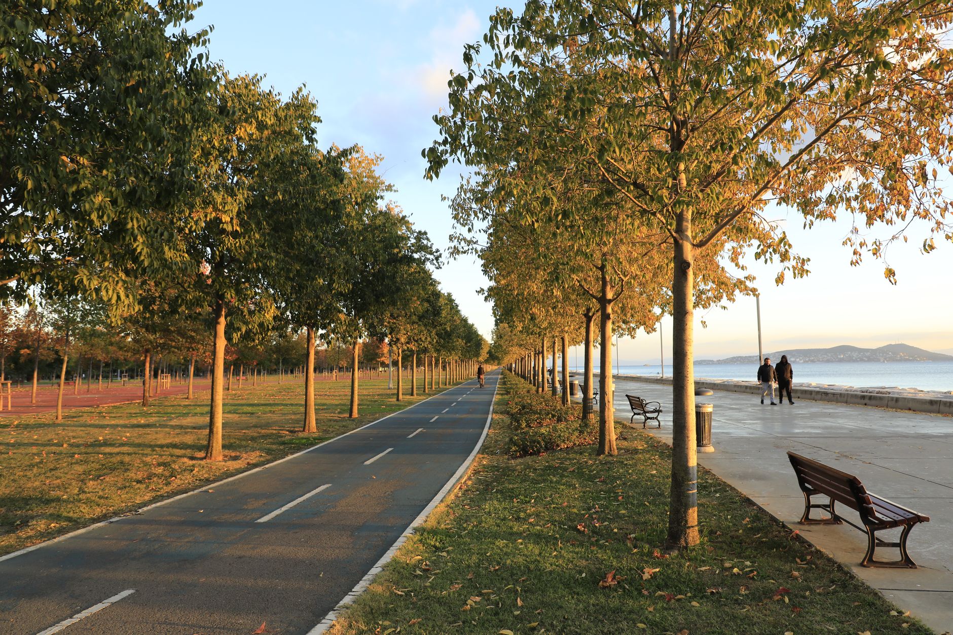 Tree-lined walking path in Washington Park with historic mansions visible