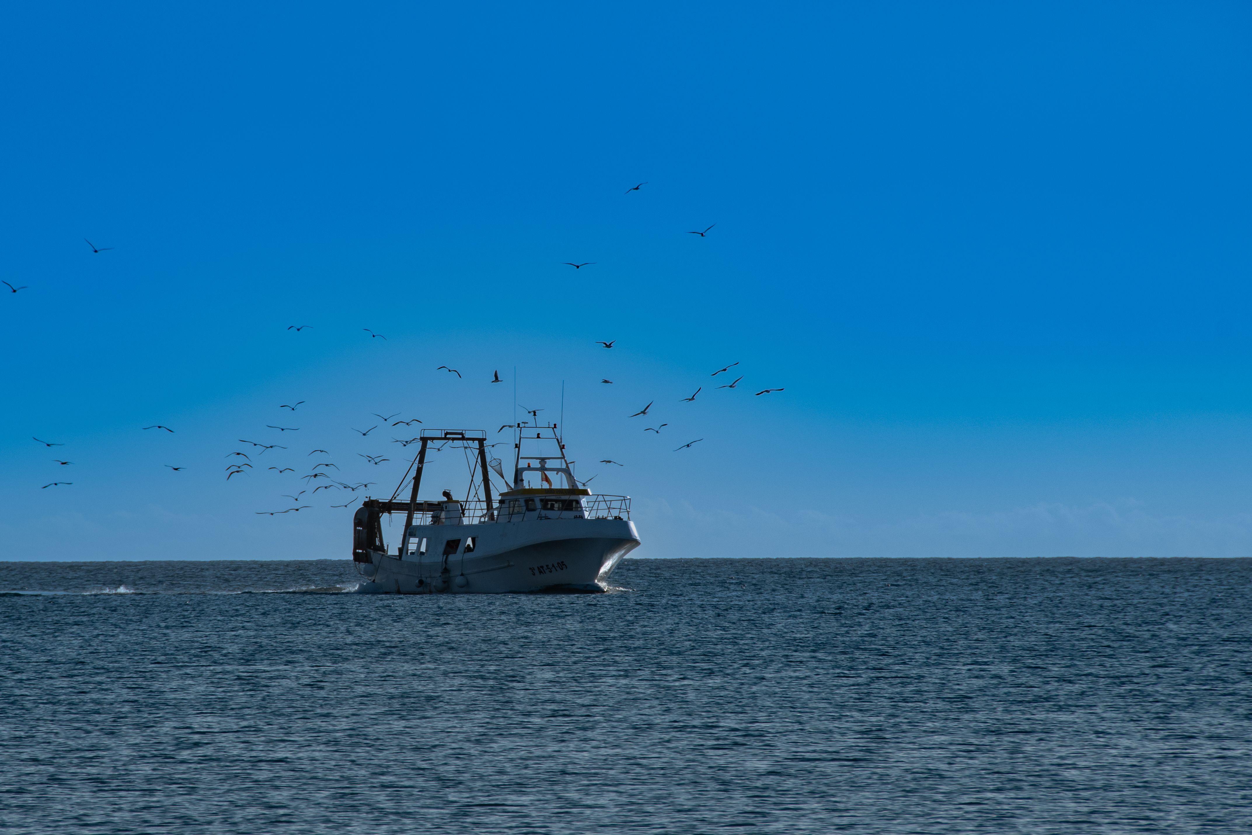 Gratuit Un bateau de pêche navigue sous un ciel bleu vif à Calpe, en Espagne, avec des mouettes volant au-dessus. Photos