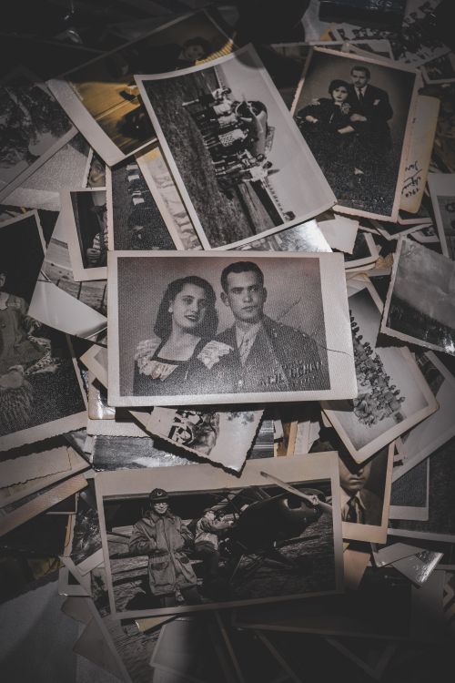 Free A nostalgic collection of vintage black and white family photographs. Stock Photo
