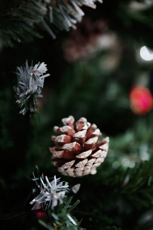 Free merry Christmas  Stock Photo