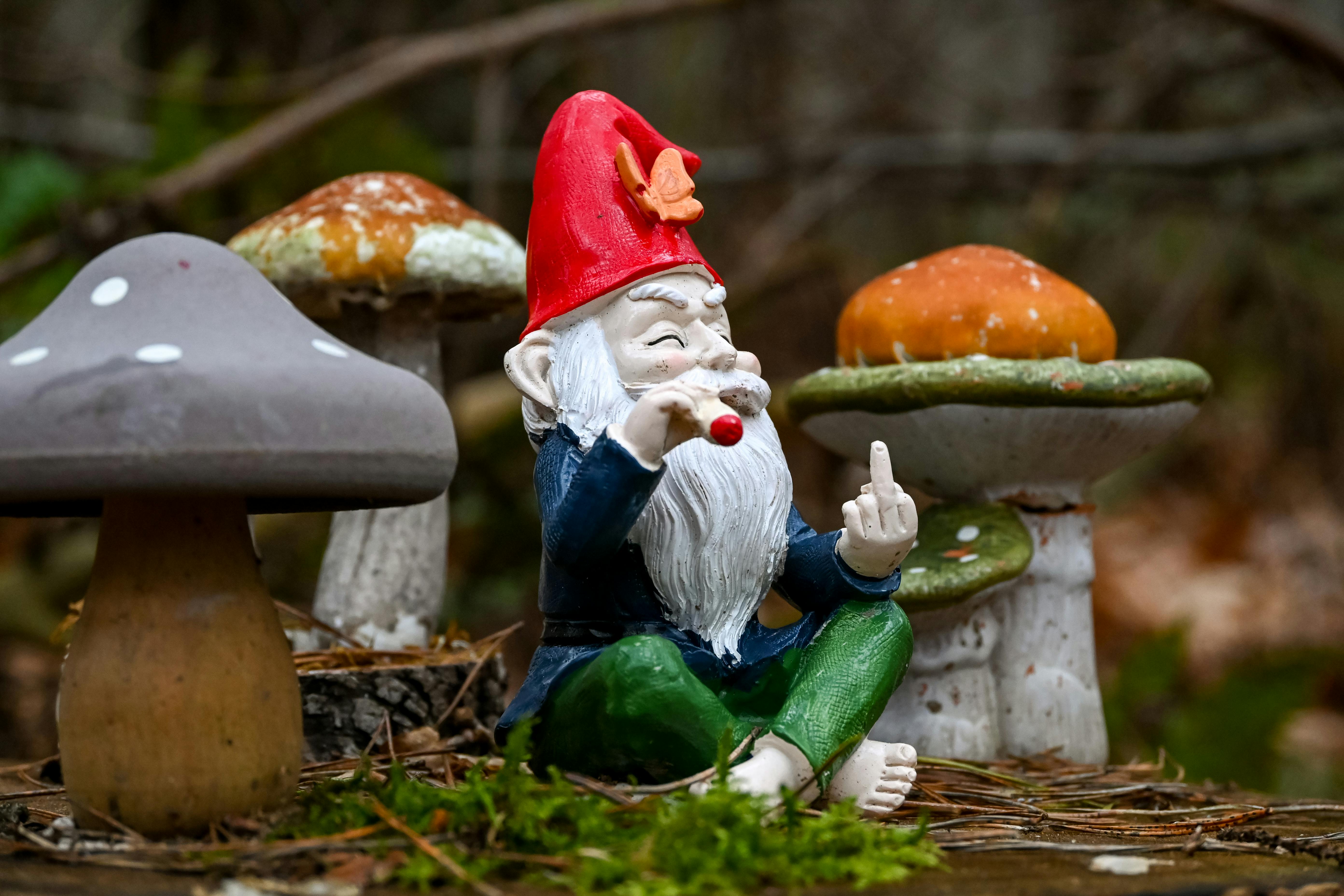 Fake Garden Gnome