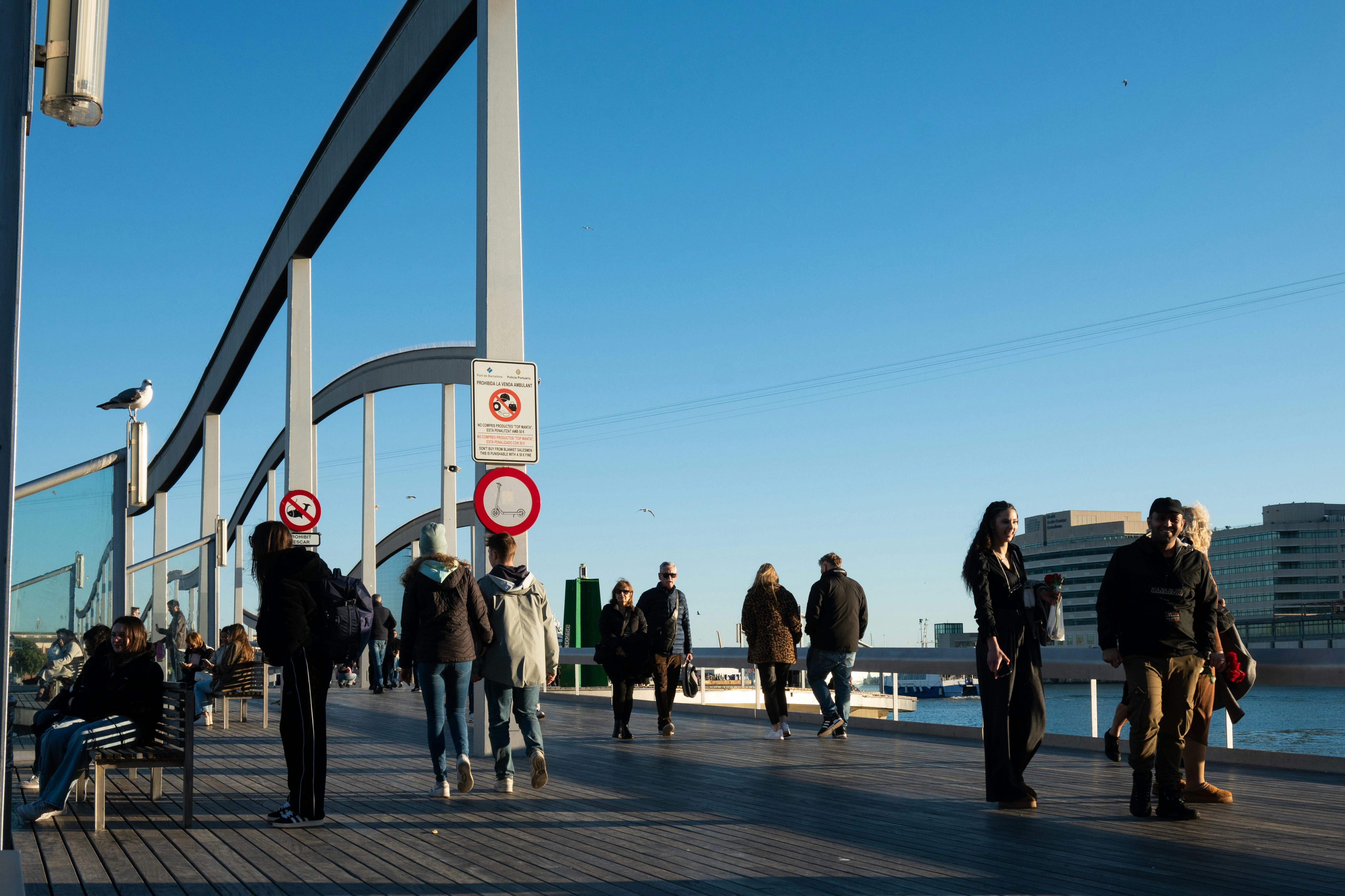 Is New Zealand Safe For Tourists? What Travelers Should Know — Photo by Bingqian Li on Pexels
