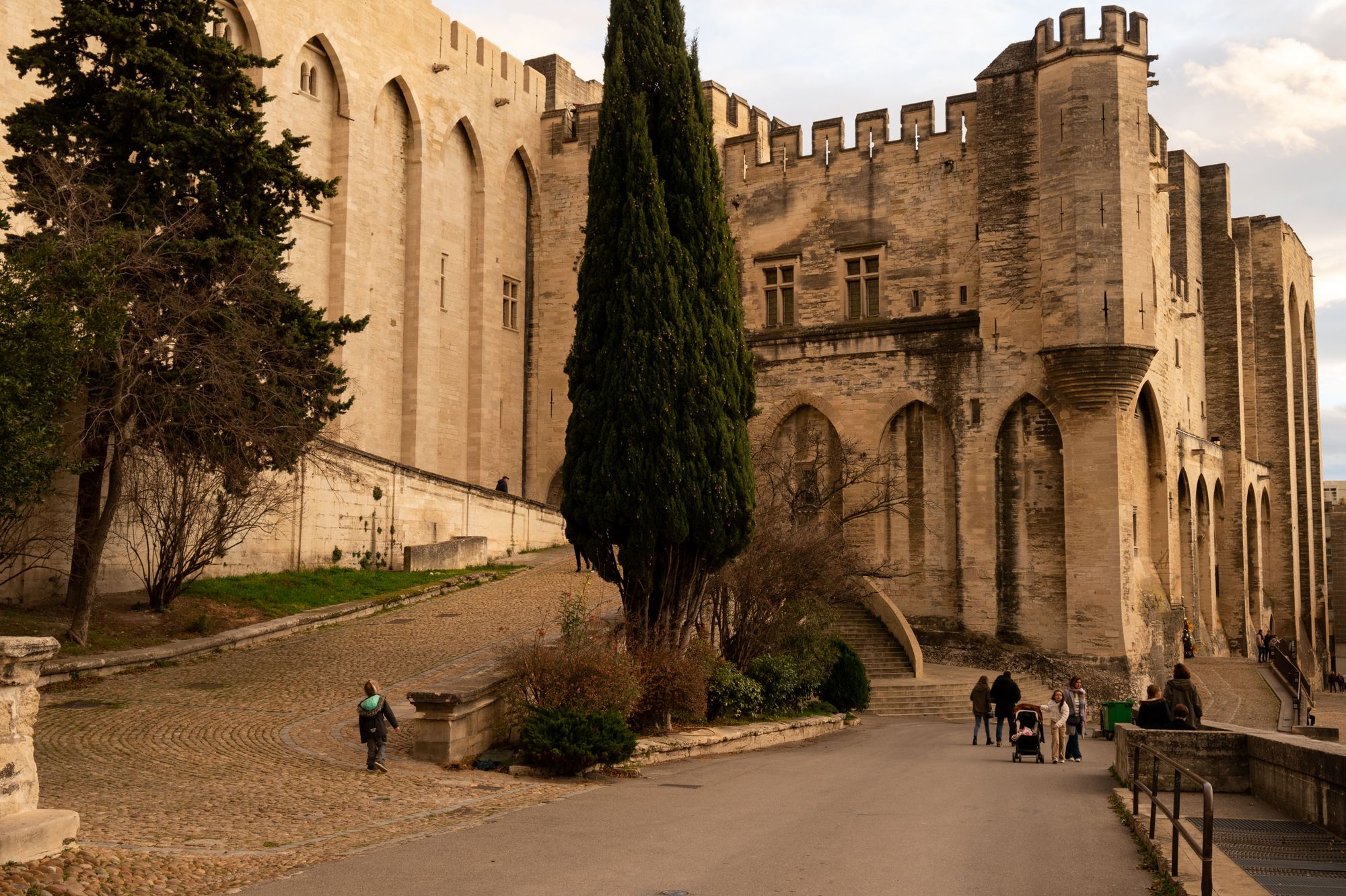 Avignon