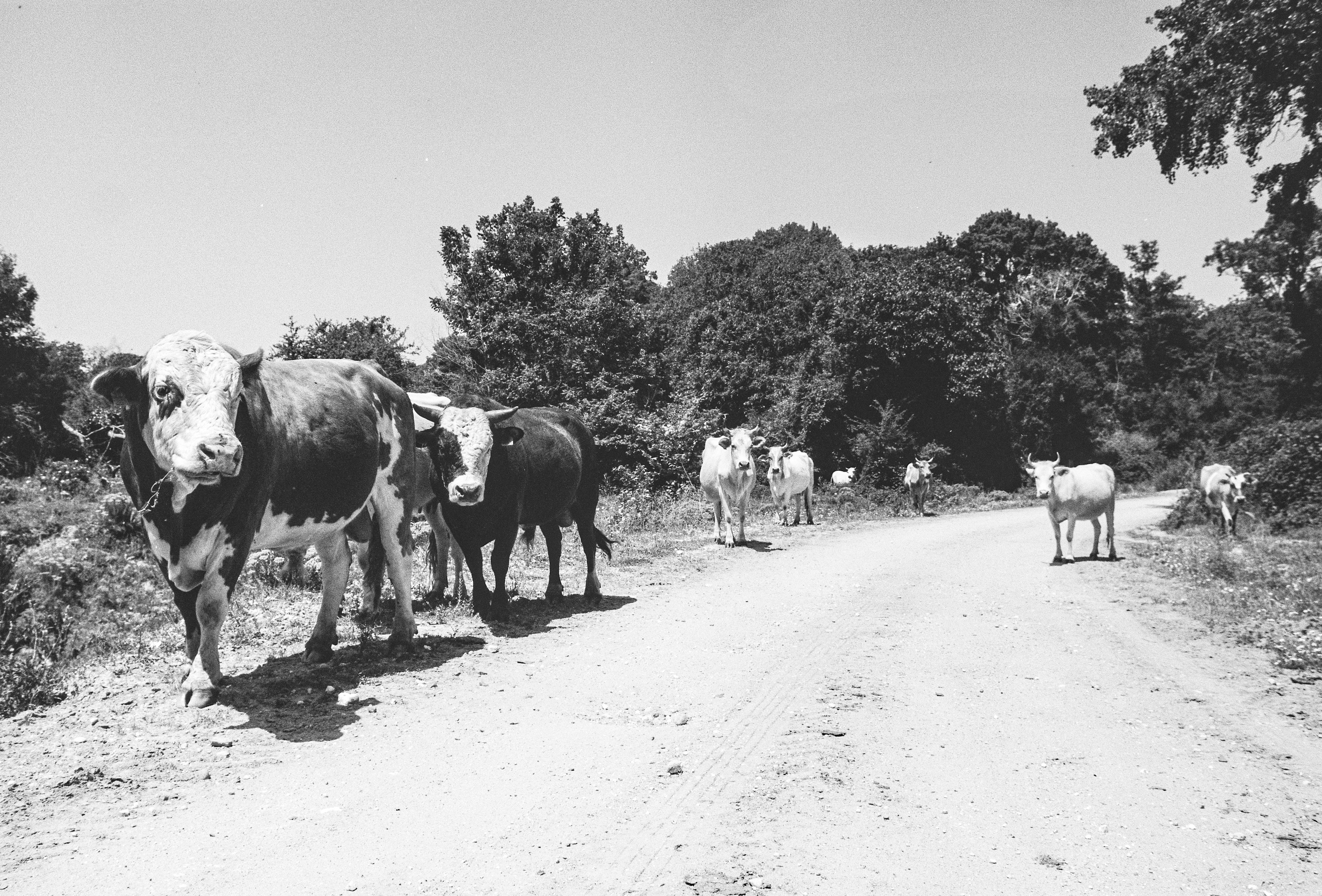 Image from {frontmatter.title}