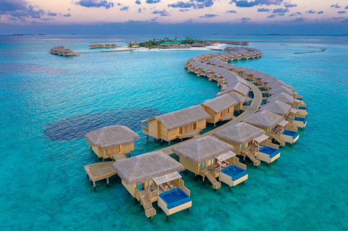 Maldives experience