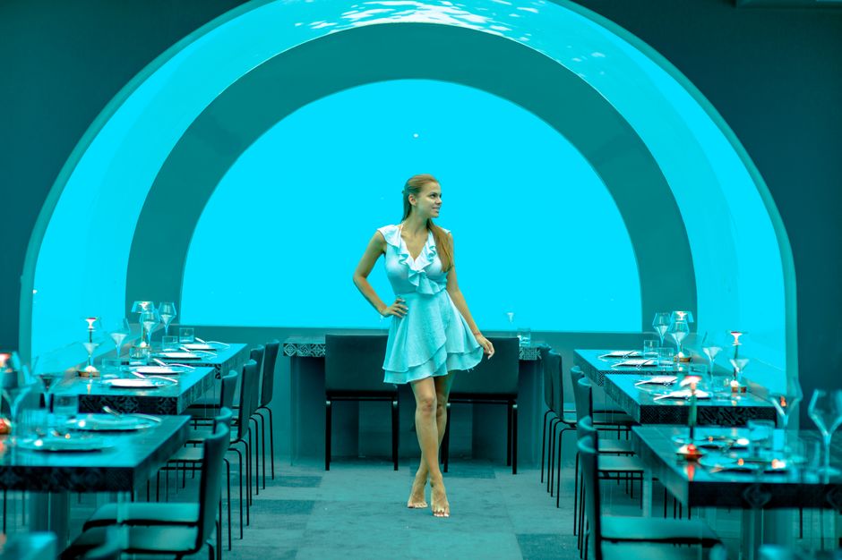 Dining with marine life views