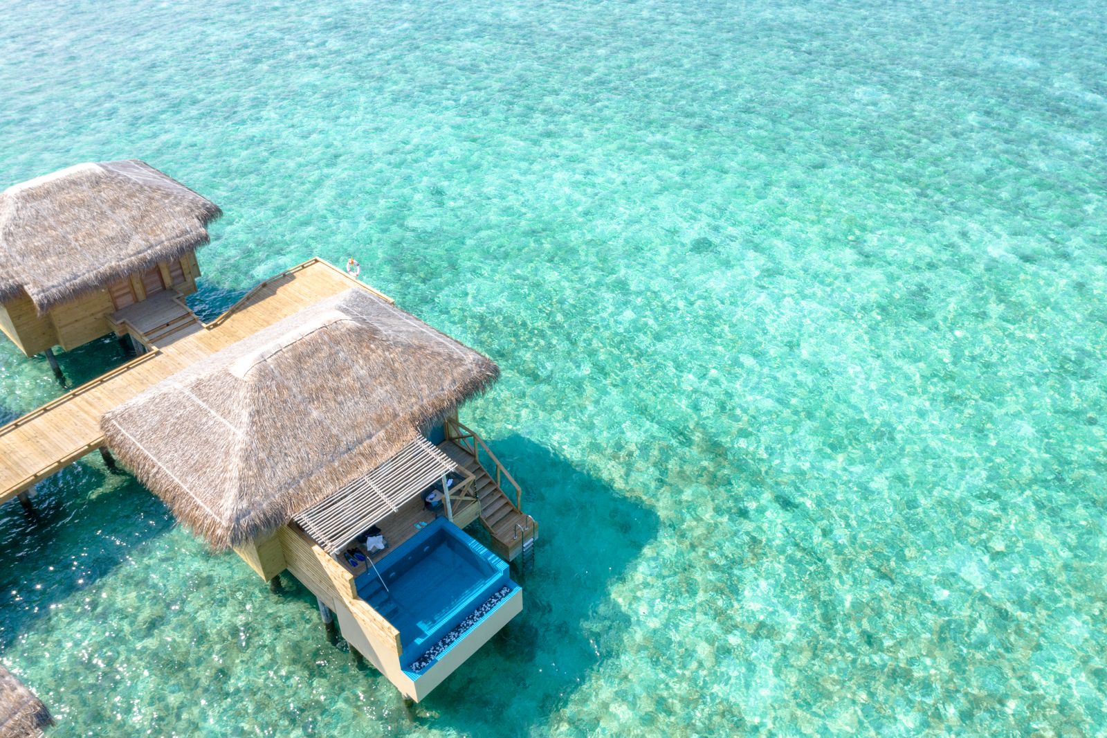 The Reef Suite