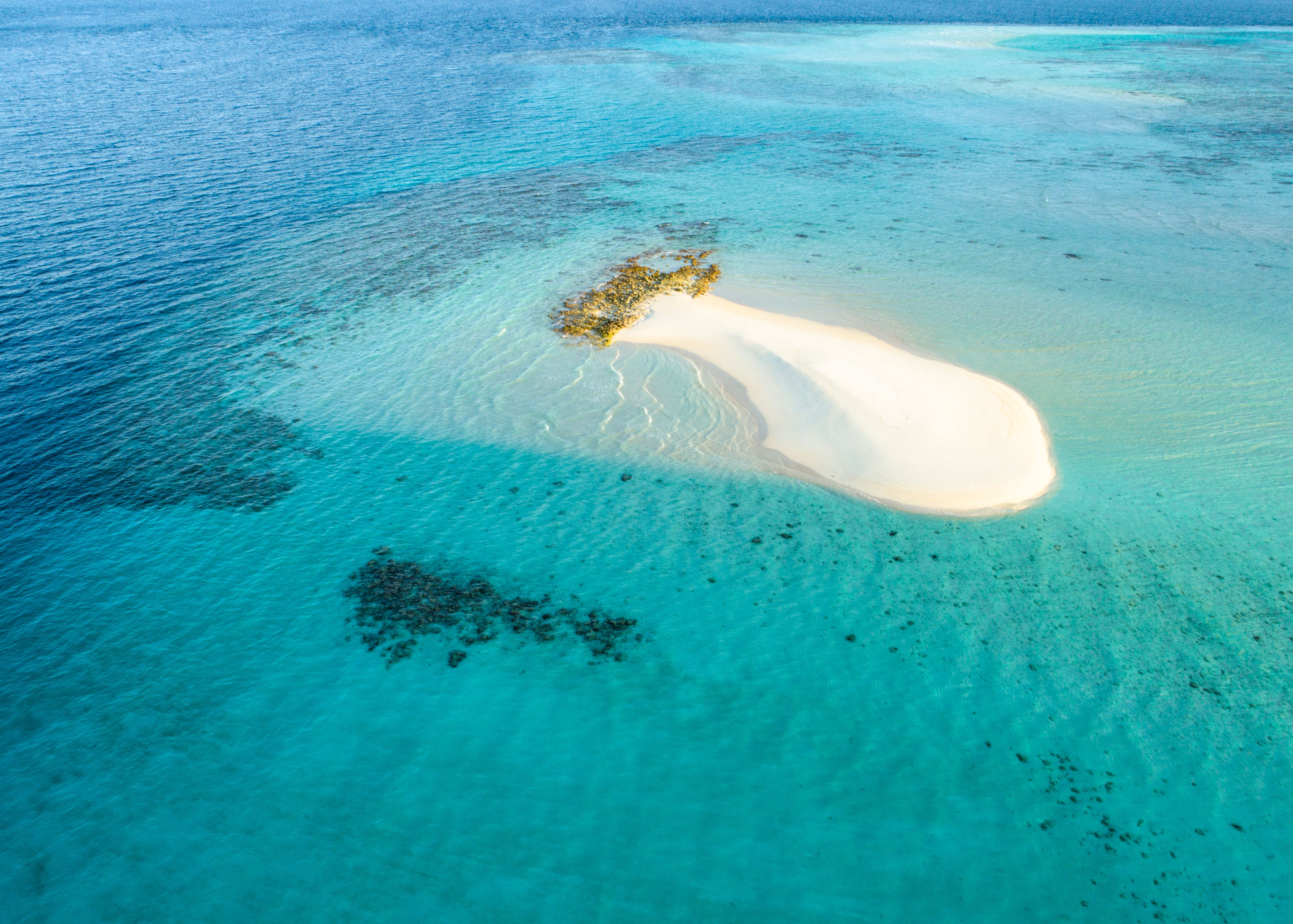 Rejs na sandbank w Diani
