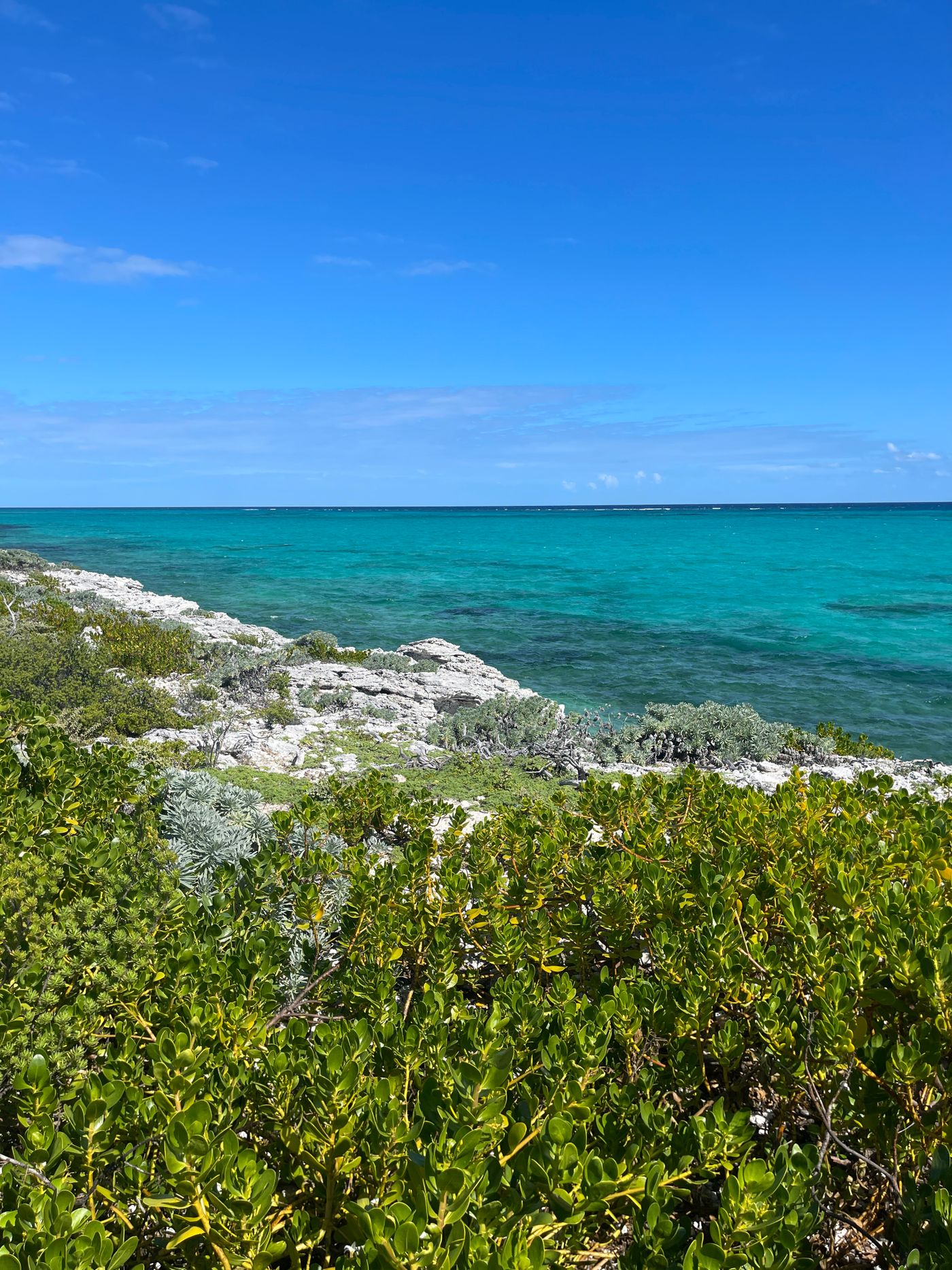 Turquoise water along a green coastline in the Caicos Islands, Turks and Caicos