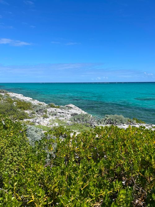 Free Stunning view of Caicos Islands coastline with clear turquoise waters and lush greenery. Stock Photo