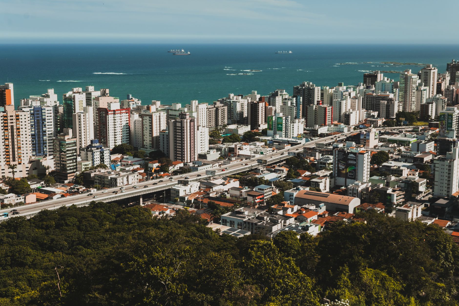 Eco Descupim: A Dedetizadora Confiável em Navegantes/SC