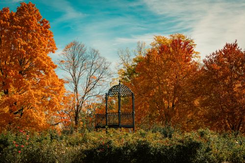 A Gazebo in the Middle of a Garden · Free Stock Photo