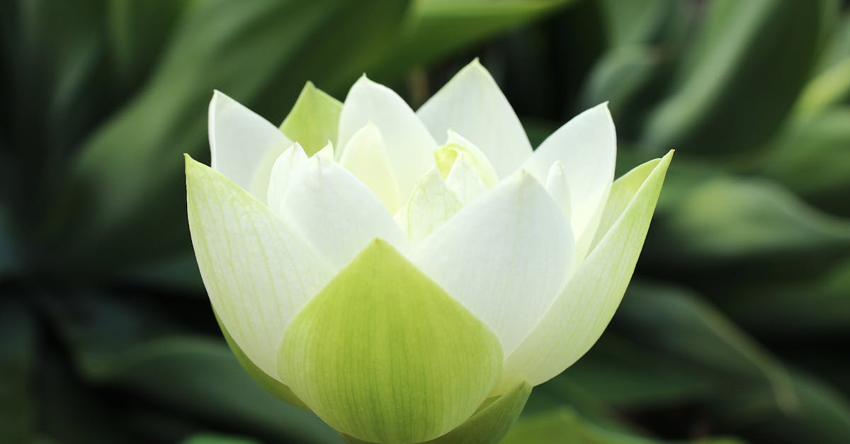 Профессиональные студийные фотографии автомобилей