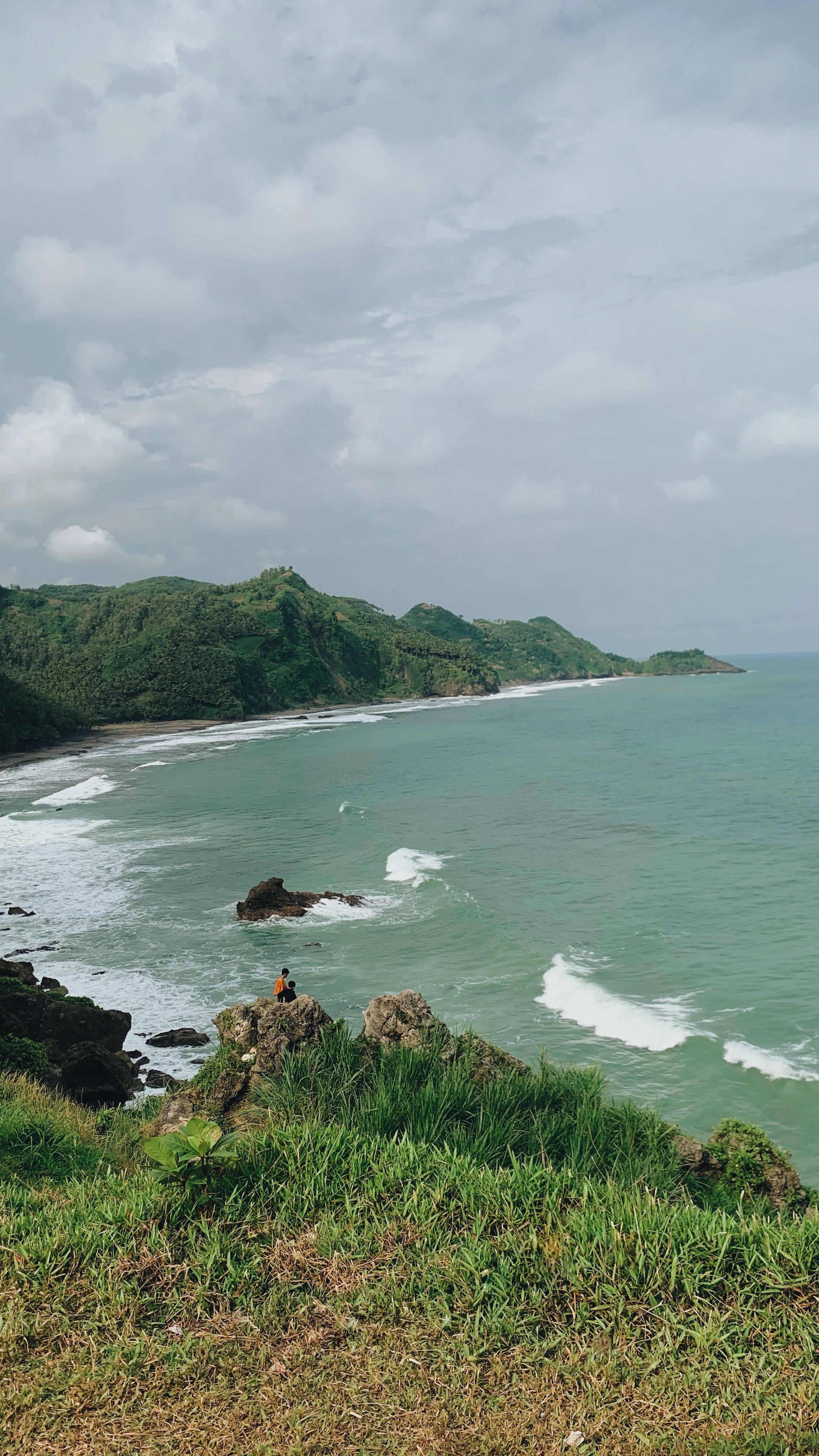 Scenic Coastal Landscape with Lush Greenery