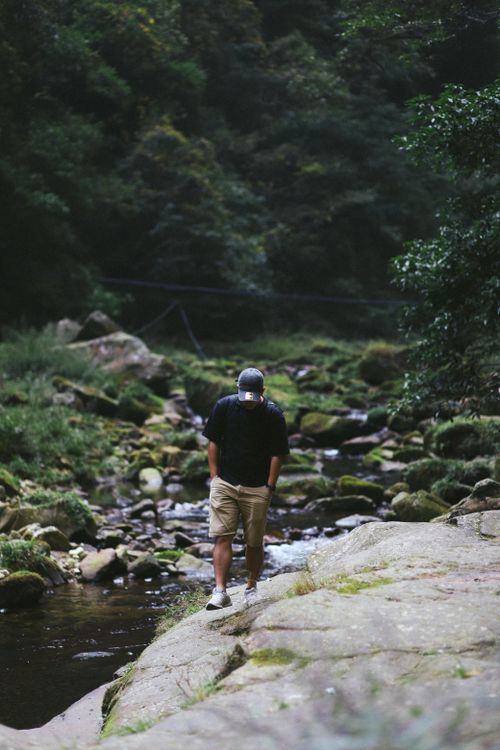 Free A solitary man walks along a peaceful forest stream, embracing the calm of nature. Stock Photo