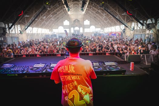 DJ in a lively indoor music festival setting with a crowd captivated by the energetic performance.