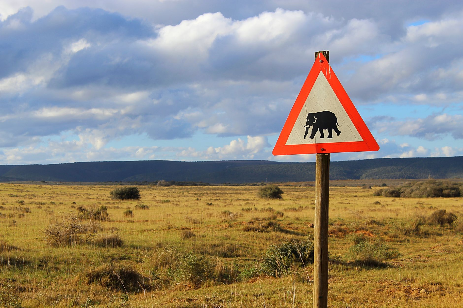 Elephant crossing sign in the vast South African landscape under a cloudy sky.