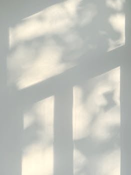 Soft sunlight casts gentle shadows on a minimalist white wall creating a serene atmosphere.